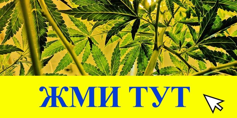 Купить наркотики в Судогде